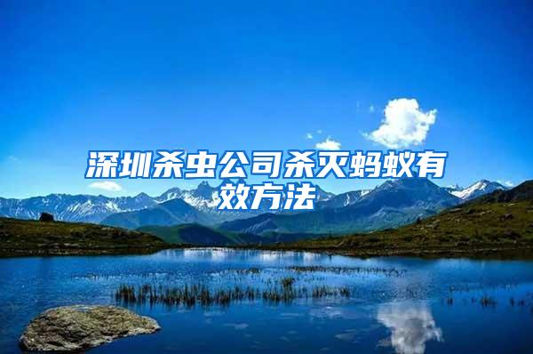 深圳殺蟲公司殺滅螞蟻有效方法