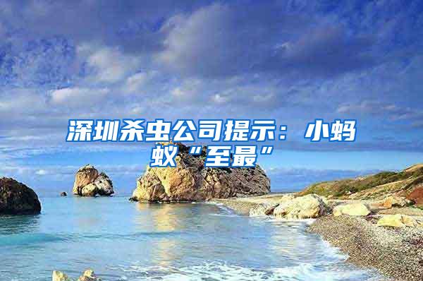 深圳殺蟲(chóng)公司提示：小螞蟻“至最”