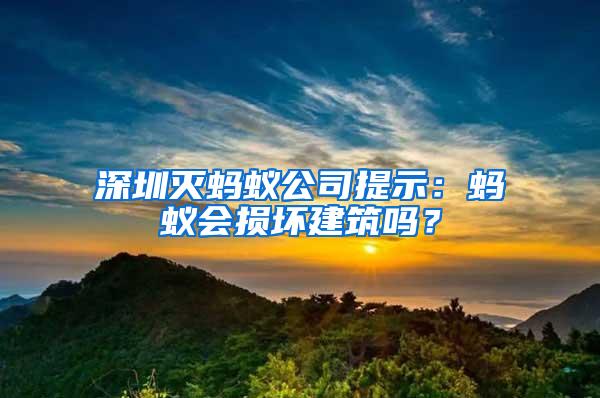 深圳滅螞蟻公司提示：螞蟻會損壞建筑嗎？