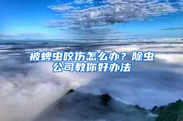 被蜱蟲咬傷怎么辦？除蟲公司教你好辦法