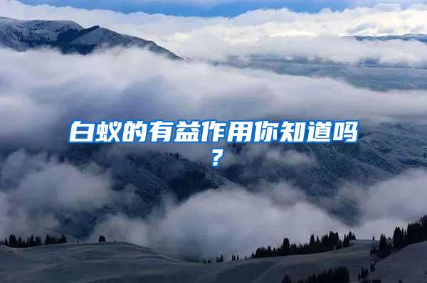 白蟻的有益作用你知道嗎？