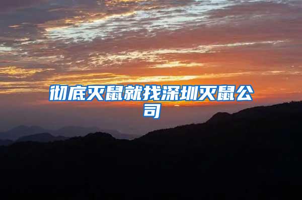 徹底滅鼠就找深圳滅鼠公司