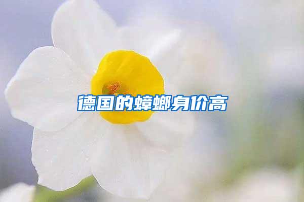 德國的蟑螂身價(jià)高