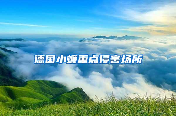 德國小蠊重點侵害場所