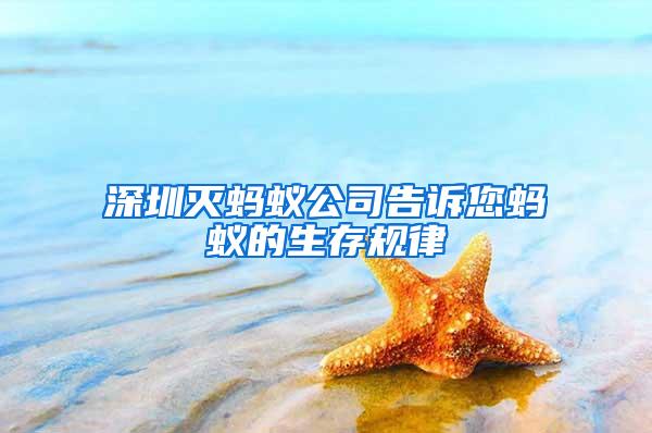 深圳滅螞蟻公司告訴您螞蟻的生存規(guī)律