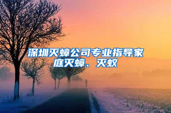 深圳滅蟑公司專業(yè)指導家庭滅蟑、滅蟻