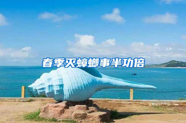 春季滅蟑螂事半功倍