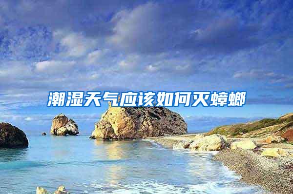 潮濕天氣應(yīng)該如何滅蟑螂