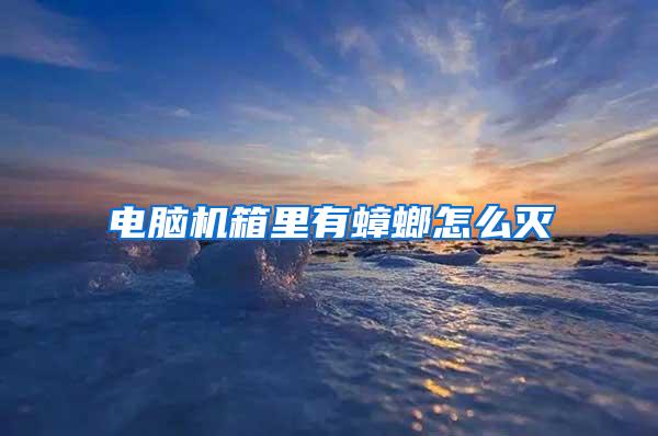 電腦機箱里有蟑螂怎么滅