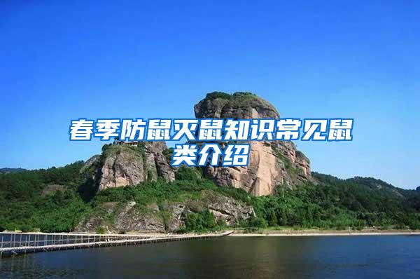 春季防鼠滅鼠知識(shí)常見(jiàn)鼠類介紹