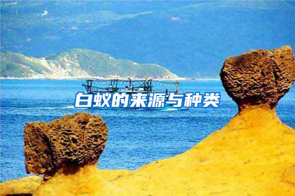 白蟻的來(lái)源與種類