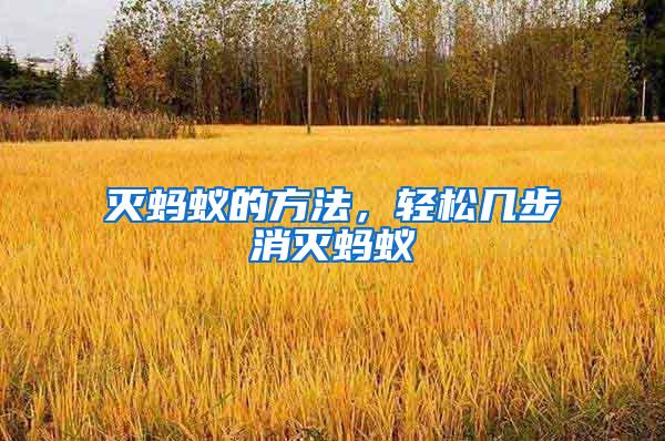 滅螞蟻的方法，輕松幾步消滅螞蟻