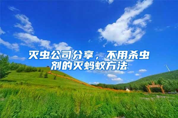 滅蟲公司分享，不用殺蟲劑的滅螞蟻方法