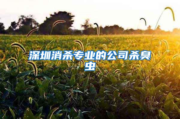深圳消殺專業的公司殺臭蟲