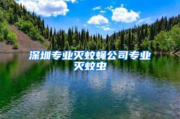 深圳專業(yè)滅蚊蠅公司專業(yè)滅蚊蟲
