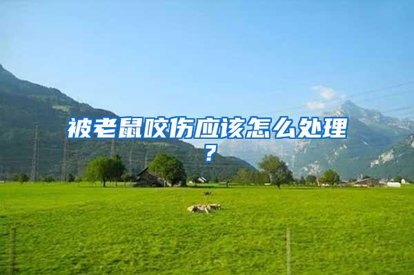 被老鼠咬傷應(yīng)該怎么處理？