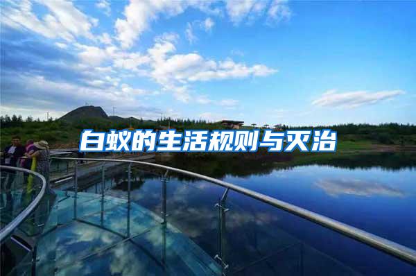 白蟻的生活規(guī)則與滅治