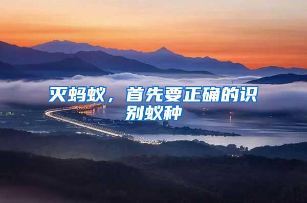 滅螞蟻，首先要正確的識(shí)別蟻種