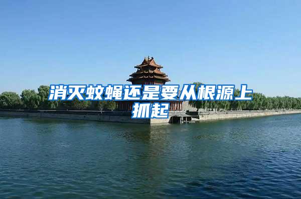 消滅蚊蠅還是要從根源上抓起
