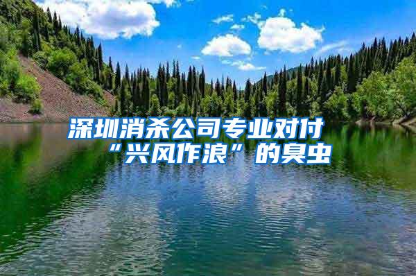 深圳消殺公司專業對付“興風作浪”的臭蟲