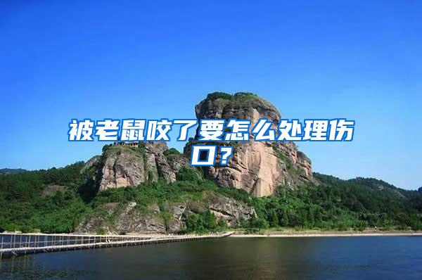 被老鼠咬了要怎么處理傷口？