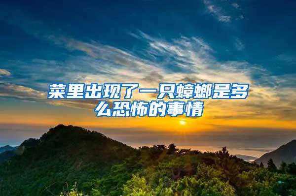 菜里出現(xiàn)了一只蟑螂是多么恐怖的事情