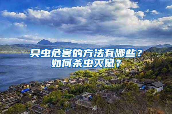 臭蟲危害的方法有哪些？如何殺蟲滅鼠？