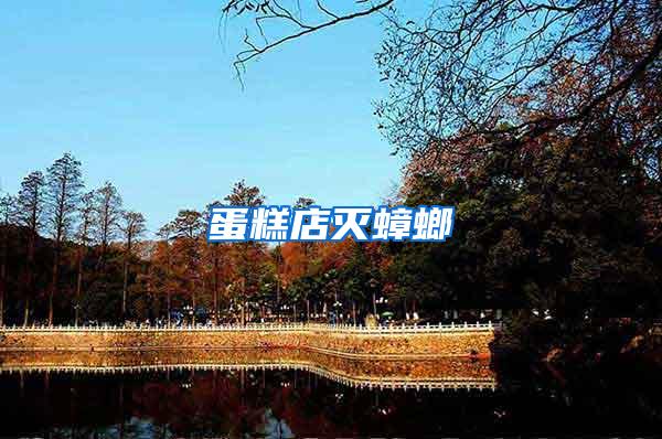 蛋糕店滅蟑螂