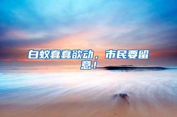 白蟻蠢蠢欲動，市民要留意！