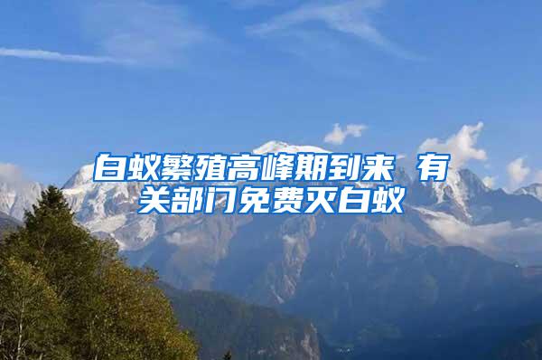 白蟻繁殖高峰期到來 有關(guān)部門免費(fèi)滅白蟻