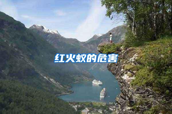 紅火蟻的危害