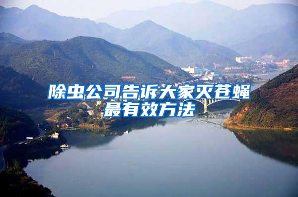 除蟲(chóng)公司告訴大家滅蒼蠅最有效方法