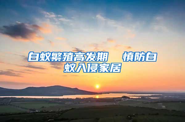 白蟻繁殖高發期  慎防白蟻入侵家居