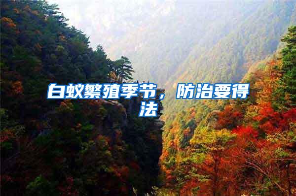 白蟻繁殖季節(jié)，防治要得法
