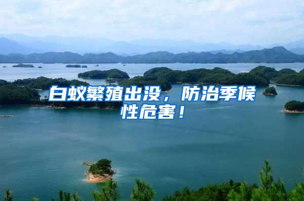 白蟻繁殖出沒，防治季候性危害！