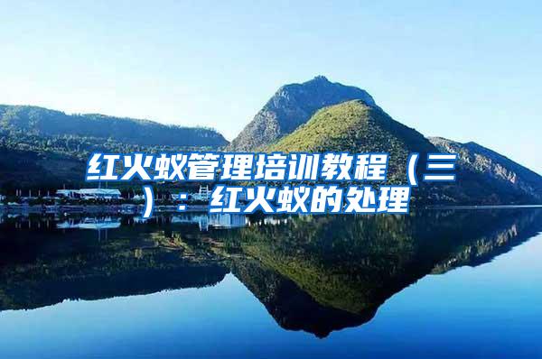 紅火蟻管理培訓(xùn)教程（三）：紅火蟻的處理
