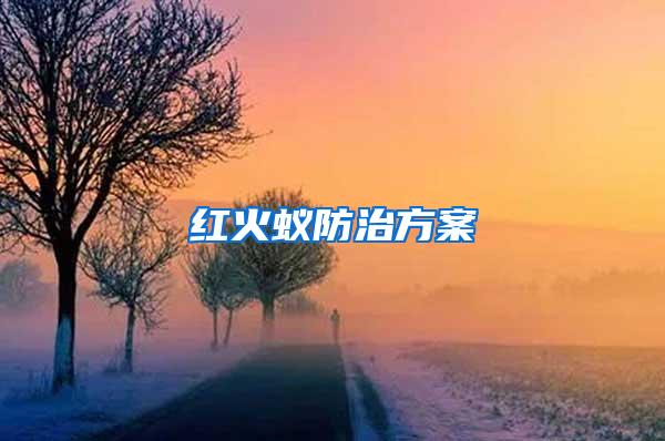 紅火蟻防治方案