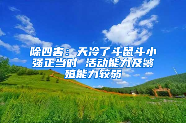 除四害：天冷了斗鼠斗小強正當時 活動能力及繁殖能力較弱