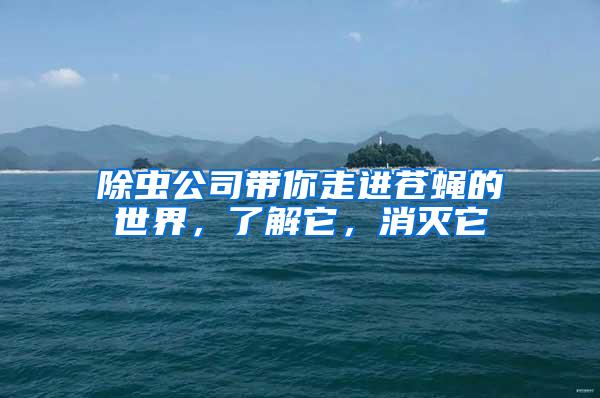 除蟲公司帶你走進(jìn)蒼蠅的世界，了解它，消滅它