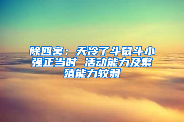除四害：天冷了斗鼠斗小強(qiáng)正當(dāng)時(shí) 活動(dòng)能力及繁殖能力較弱