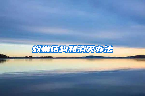蟻巢結(jié)構(gòu)和消滅辦法