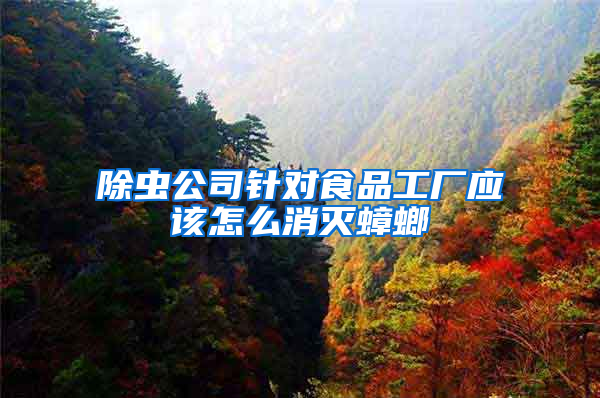 除蟲公司針對食品工廠應該怎么消滅蟑螂