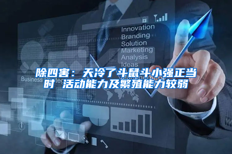 除四害：天冷了斗鼠斗小強(qiáng)正當(dāng)時 活動能力及繁殖能力較弱
