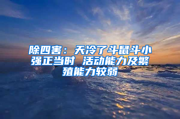 除四害：天冷了斗鼠斗小強(qiáng)正當(dāng)時(shí) 活動(dòng)能力及繁殖能力較弱