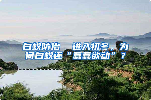 白蟻防治  進入初冬，為何白蟻還“蠢蠢欲動”？