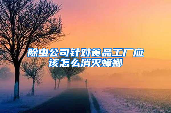 除蟲公司針對食品工廠應該怎么消滅蟑螂