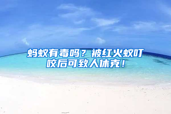 螞蟻有毒嗎？被紅火蟻叮咬后可致人休克！