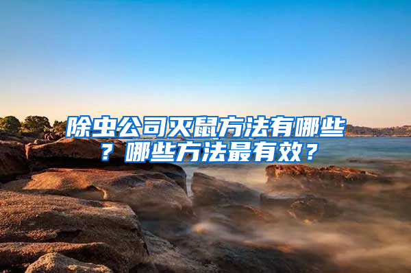 除蟲公司滅鼠方法有哪些？哪些方法最有效？