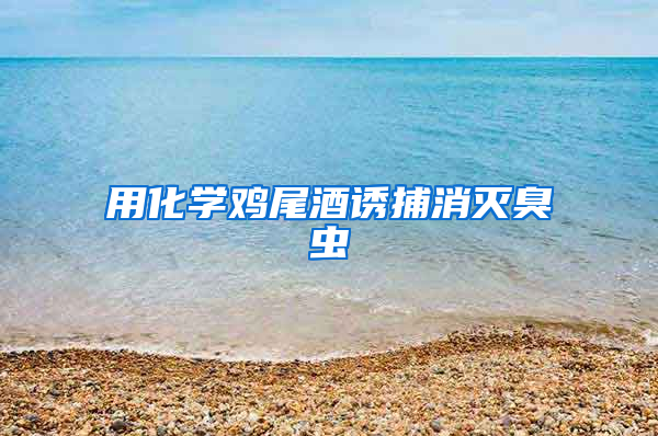 用化學(xué)雞尾酒誘捕消滅臭蟲