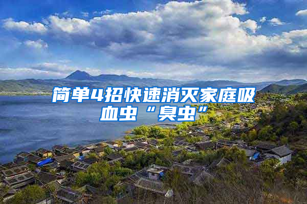 簡(jiǎn)單4招快速消滅家庭吸血蟲“臭蟲”